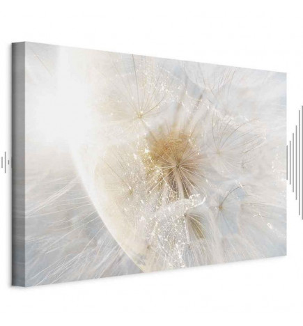 Taulu - Dandelion in the Sun (1 Part) Wide