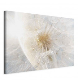 Canvas Print - Dandelion in the Sun (1 Part) Wide