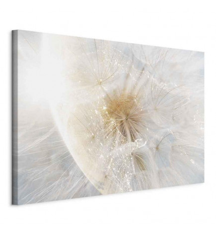 Paveikslas - Dandelion in the Sun (1 Part) Wide