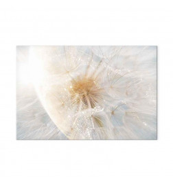 Paveikslas - Dandelion in the Sun (1 Part) Wide