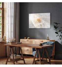 Canvas Print - Dandelion in the Sun (1 Part) Wide