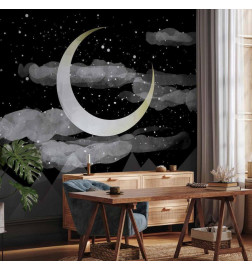 Mural de parede - Night Glow