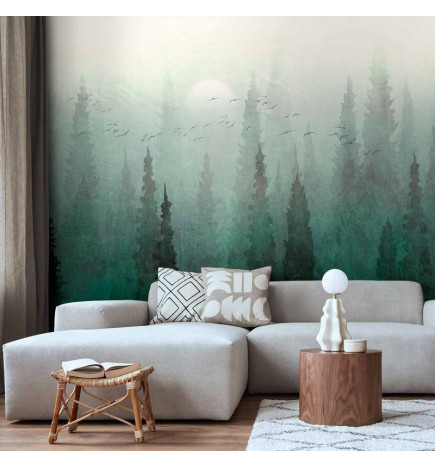 Wall Mural - Birds eye perspective - landscape of a green forest with trees in the mist