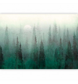 Mural de parede - Birds eye perspective - landscape of a green forest with trees in the mist