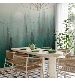 Papier peint - Birds eye perspective - landscape of a green forest with trees in the mist