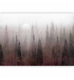 Fototapeet - Birds flight over treetops - landscape of a dark forest in fog