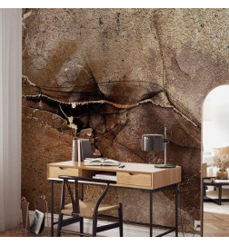 Fototapetas - Rock abstraction - brown and beige pattern in the style of cracked stone