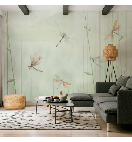 Fototapeta - Dragonflies in the Meadow