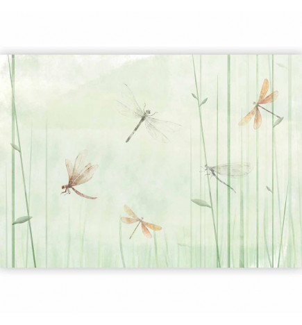 Foto tapete - Dragonflies in the Meadow