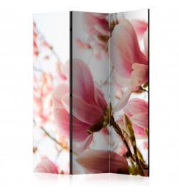 Room Divider - Pink magnolia [Room Dividers]