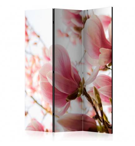 Paravent 3 volets - Pink magnolia [Room Dividers]