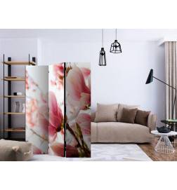 Biombo - Pink magnolia [Room Dividers]