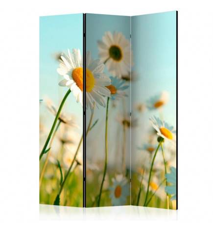 124,00 €Biombo - Daisies - spring meadow [Room Dividers]