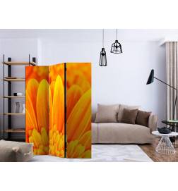 Paravent 3 volets - Yellow gerbera daisies [Room Dividers]