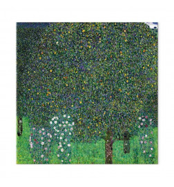 Canvas Print - Gustav Klimt – Roses Among the Trees