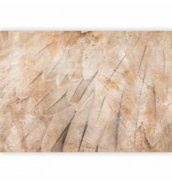 Fototapeta - Birds wings - minimalist close-up on beige feathers with pattern