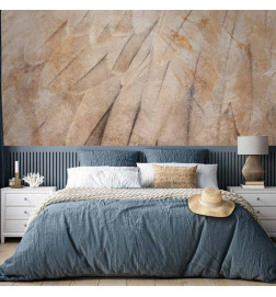 Wall Mural - Birds wings - minimalist close-up on beige feathers with pattern