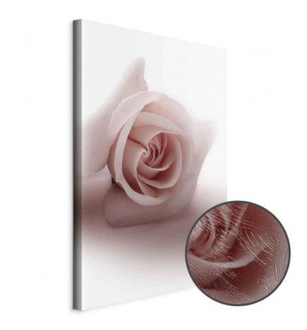 Leinwandbild - Floral Glamour Glow (1-part) - Delicate and Pastel Pink Rose