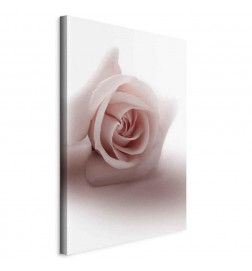 Tablou - Floral Glamour Glow (1-part) - Delicate and Pastel Pink Rose
