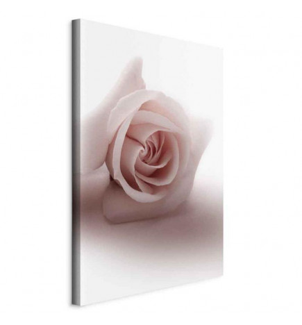 Leinwandbild - Floral Glamour Glow (1-part) - Delicate and Pastel Pink Rose