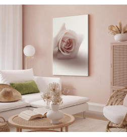 Seinapilt - Floral Glamour Glow (1-part) - Delicate and Pastel Pink Rose