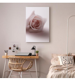 Tableau - Floral Glamour Glow (1-part) - Delicate and Pastel Pink Rose