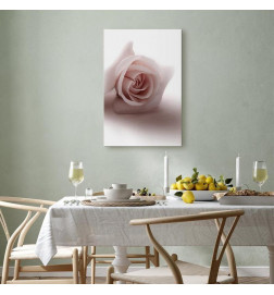 Seinapilt - Floral Glamour Glow (1-part) - Delicate and Pastel Pink Rose