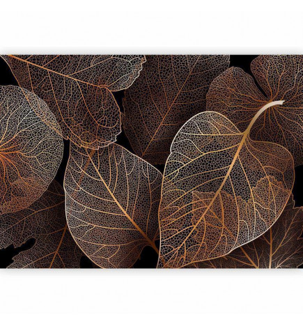 Fototapetas - Nature in My Home - First Variant