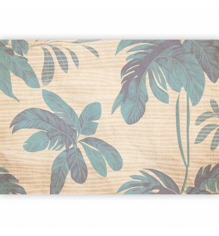 Fototapeta - Misty Tropics