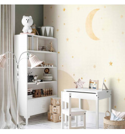 Wall Mural - Starry Night