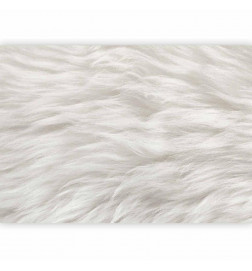 Wall Mural - Natural Delicacy - First Variant