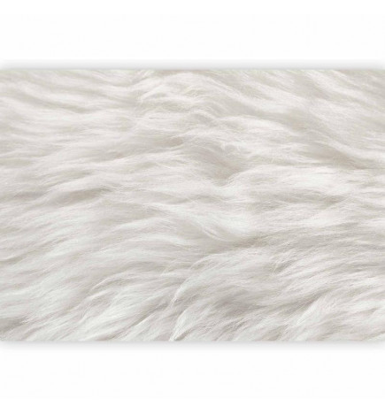 Wall Mural - Natural Delicacy - First Variant