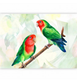 Fototapete - Lovebirds