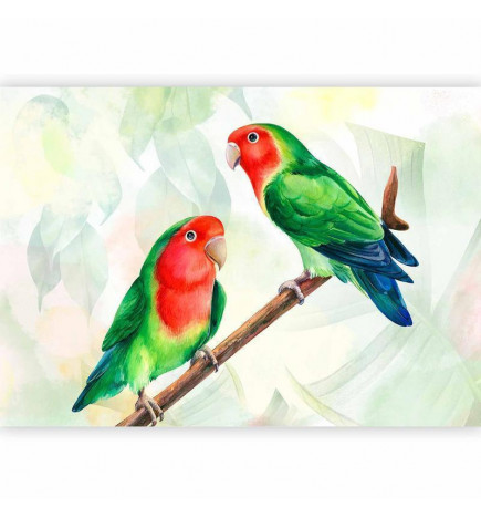 Fotomural - Lovebirds
