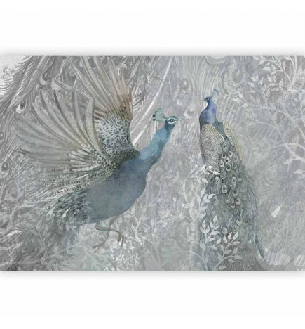 Fototapeet - Peacocks Dancing - Second Variant
