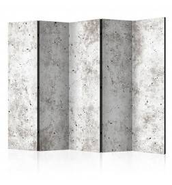 Room Divider - Urban Style: Concrete II [Room Dividers]