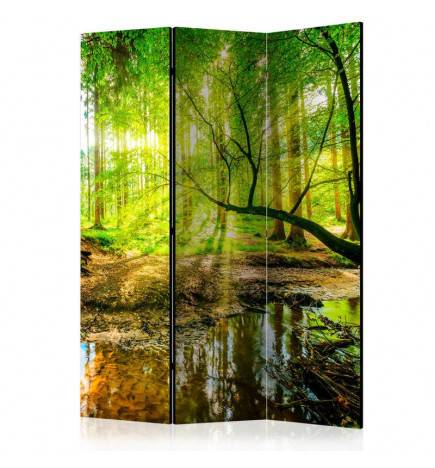 124,00 € Biombo - Forest Stream [Room Dividers]