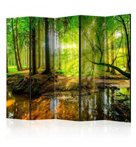 172,00 €Biombo - Forest Stream II [Room Dividers]
