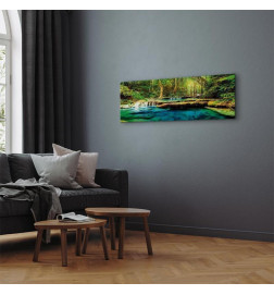 Quadro - A Jewel of Nature