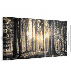 Schilderij - Forest Sun