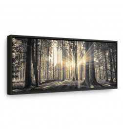 Canvas Print - Forest Sun