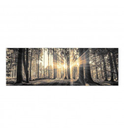 Cuadro - Forest Sun
