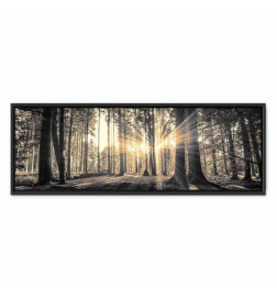 Cuadro - Forest Sun