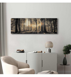 Tableau - Forest Sun