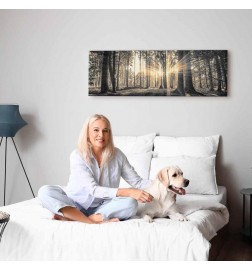 Seinapilt - Forest Sun