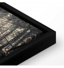 Canvas Print - Forest Sun