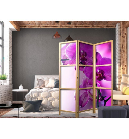 Paravent japonais - Violet Orchids I