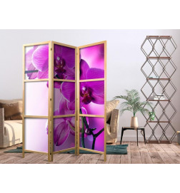 Japans kamerscherm - Violet Orchids I