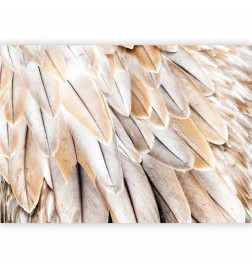 Papier peint - Close-up of birds wings - uniform close-up on beige bird feathers