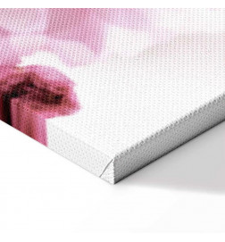 Schilderij - Flowery Glamour (1-part) - Flower Petals in Shades of Pink